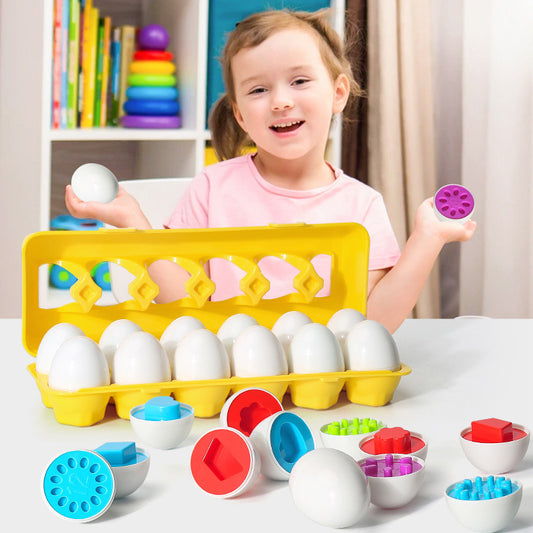 Assorted Educational Egg Sorting Toy